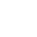 skiipg icon